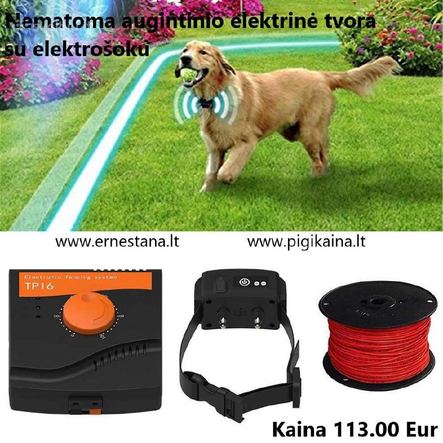Elektrinė tvora šunims Bevielės ir Vielinės - nuotraukos Nr. 23