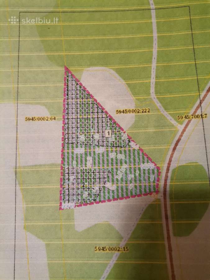 1,29 ha sklypas netoli Dusios ežero, Dzūkijoje - nuotraukos Nr. 7