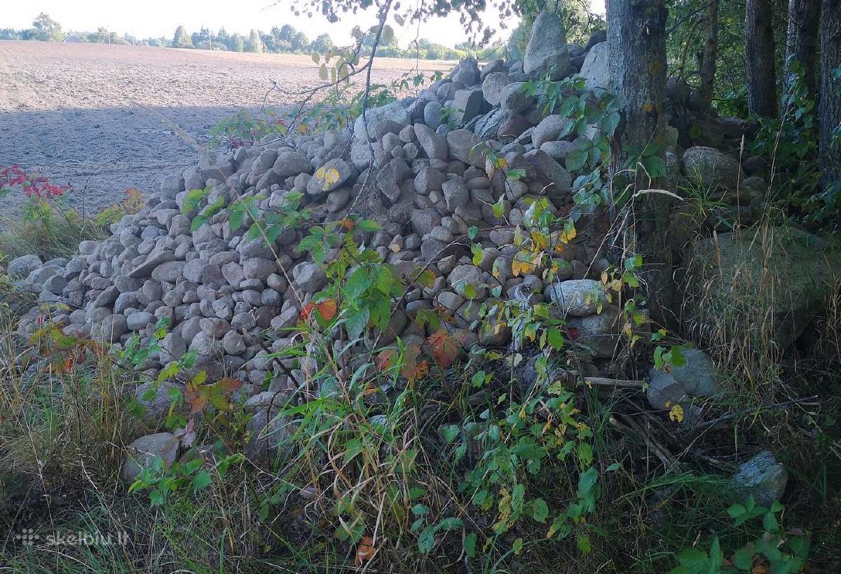 Lauko akmenys - nuotraukos Nr. 23