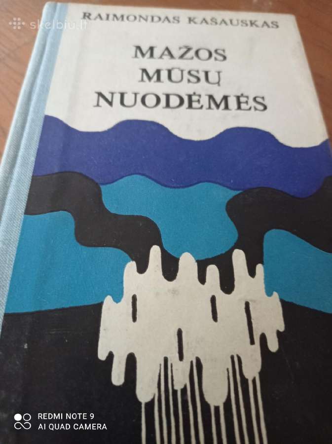 R. Kašausko romanas "Mažos mūsų nuodėmės "