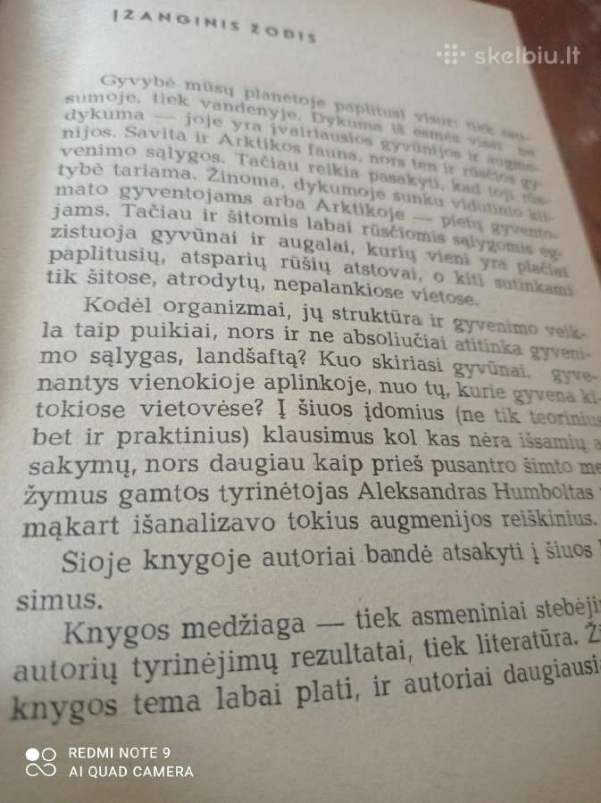 Speige ir kaitroje - nuotraukos Nr. 3
