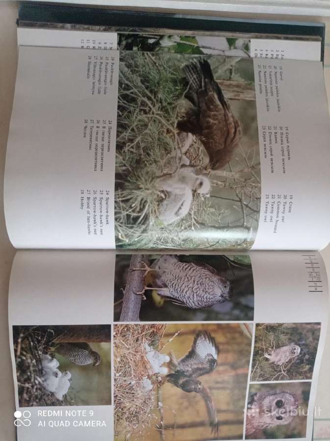 Lietuvos miškuose albumas ( A4 )-puiki dovana - nuotraukos Nr. 5