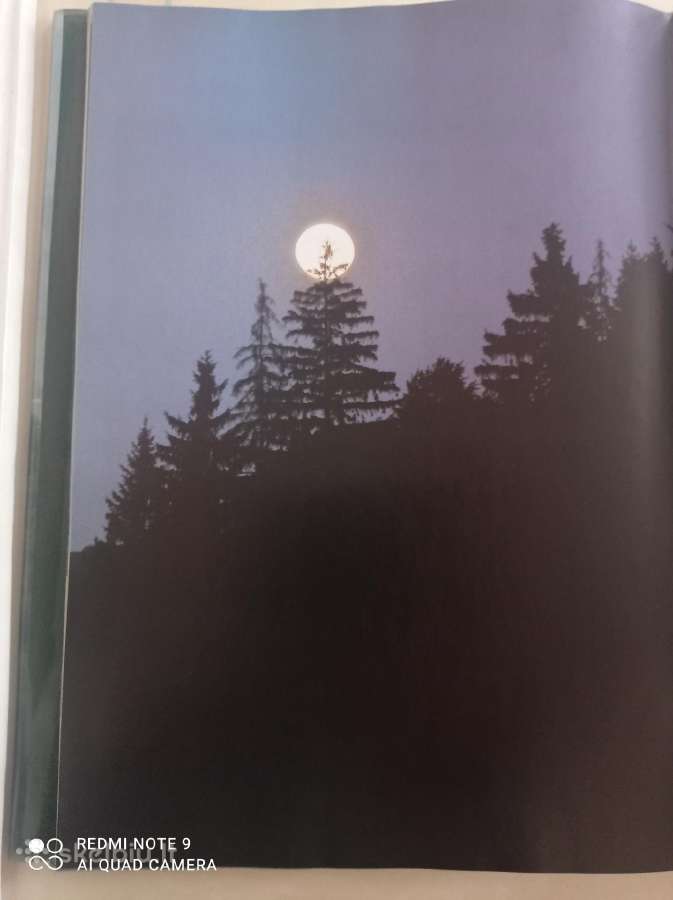 Lietuvos miškuose albumas ( A4 )-puiki dovana - nuotraukos Nr. 6