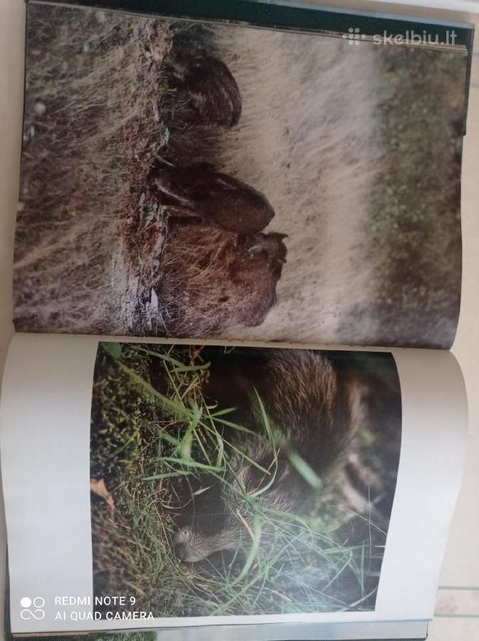 Lietuvos miškuose albumas ( A4 )-puiki dovana - nuotraukos Nr. 7