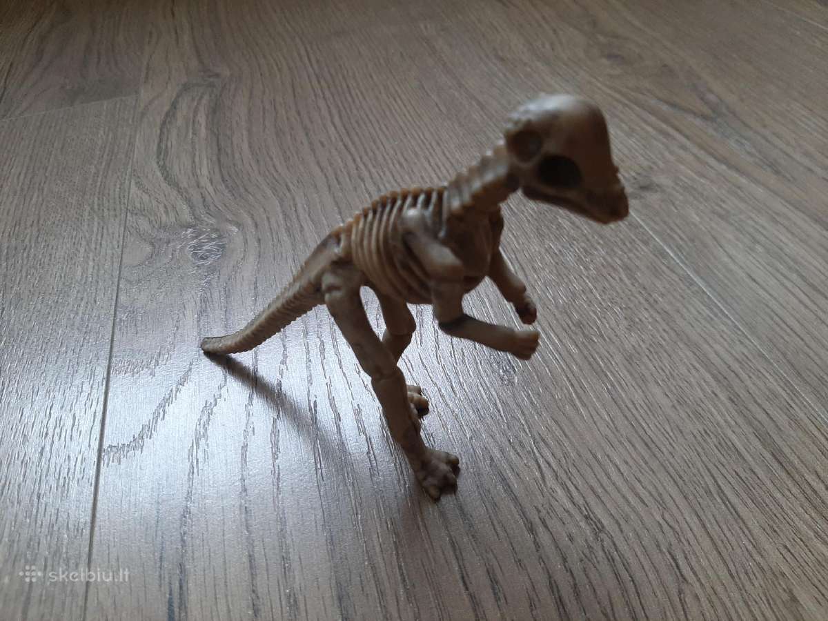 Dinozauro skeletas
