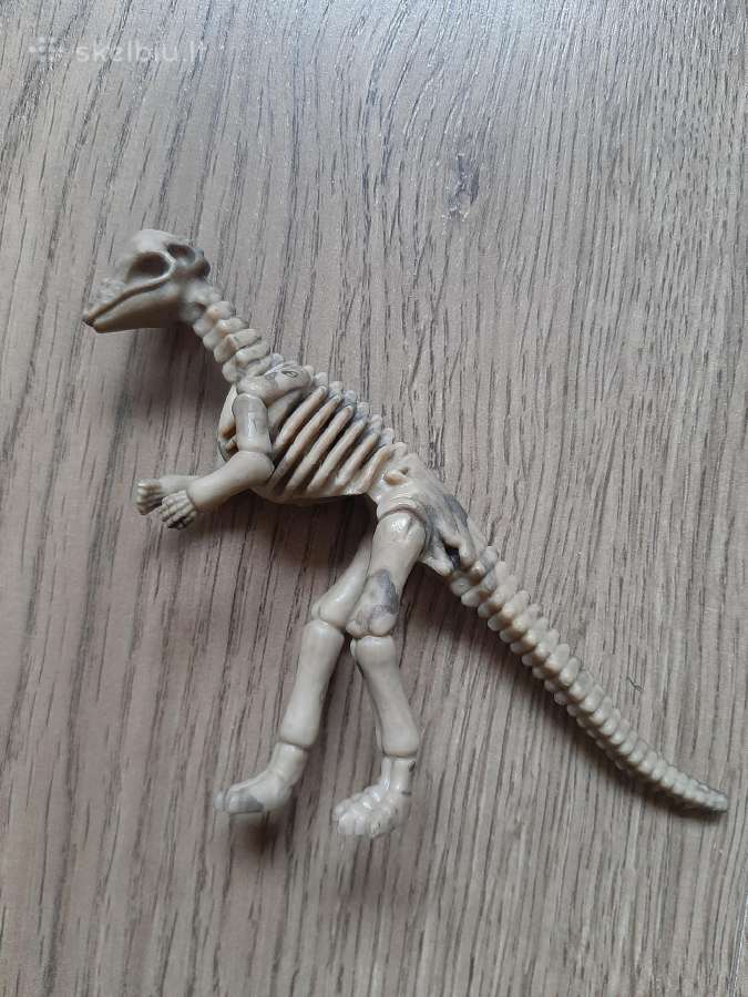 Dinozauro skeletas - nuotraukos Nr. 2