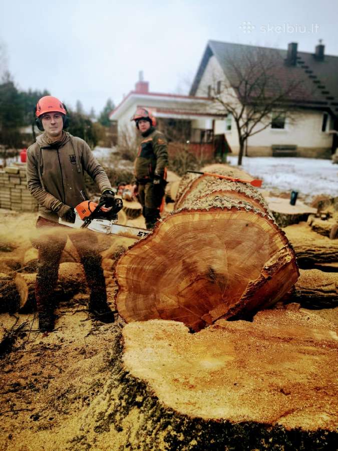 Medžių pjovimas ir genėjimas Greitas Atvykimas - nuotraukos Nr. 5