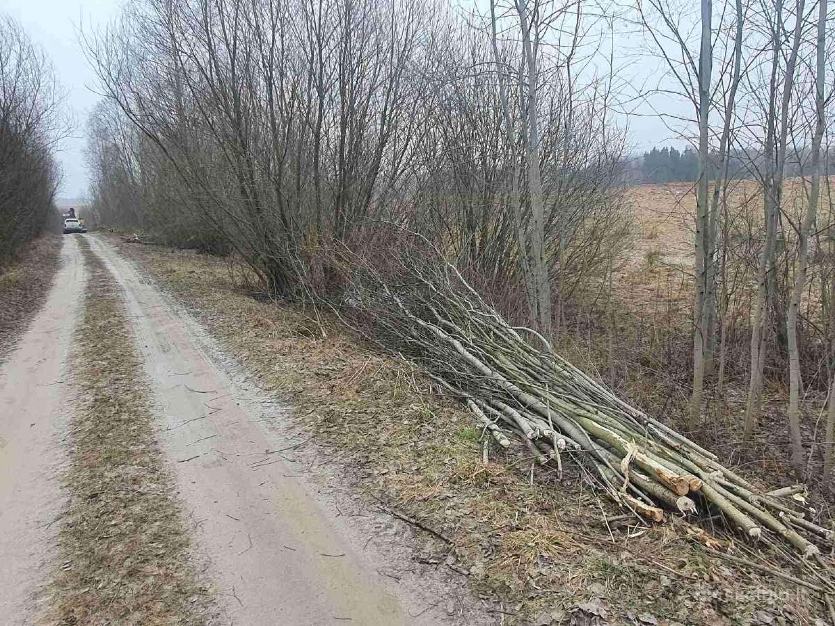 Nemokamai! apleistų sklypų tvarkymas - nuotraukos Nr. 8