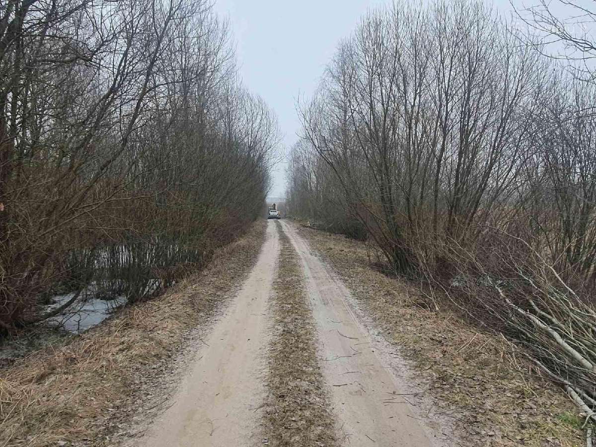 Nemokamai! apleistų sklypų tvarkymas - nuotraukos Nr. 9