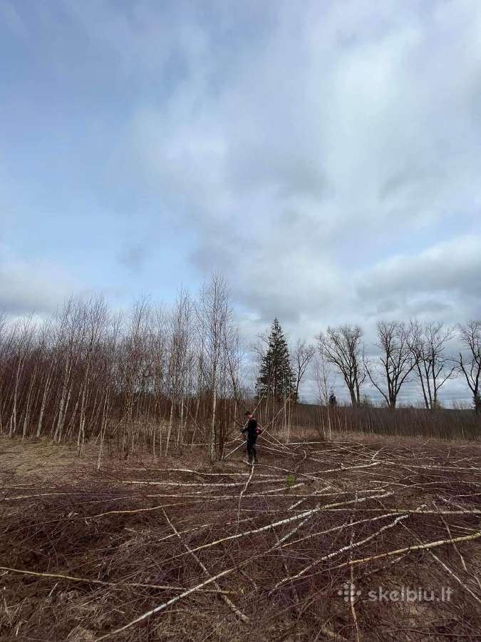 Sodo vejos pjovimas. Apleistų sklypu tvarkymas! - nuotraukos Nr. 28