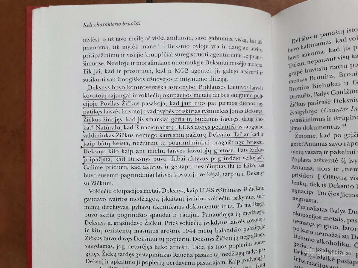 L. Mockūnas "Pavargęs Herojus" 1997 metai - nuotraukos Nr. 8