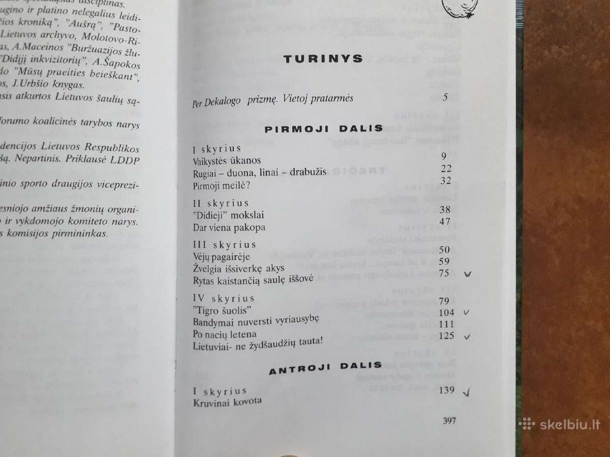 A. Bendinskas "Be pagražinimų" 2006 m. - nuotraukos Nr. 12