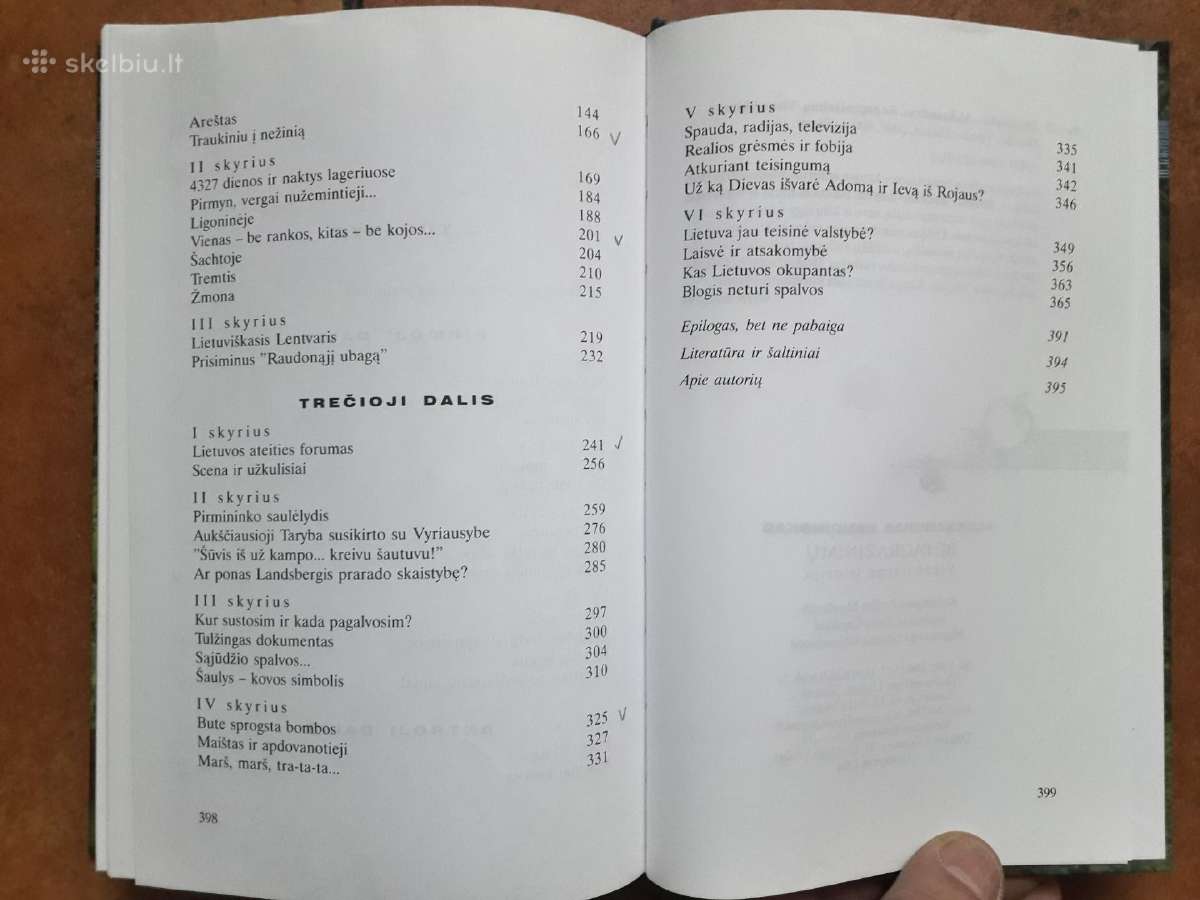 A. Bendinskas "Be pagražinimų" 2006 m. - nuotraukos Nr. 13