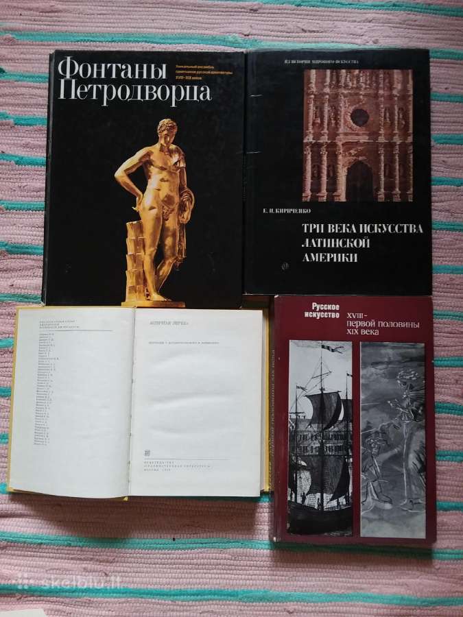 Американская социологическая мысль - nuotraukos Nr. 9