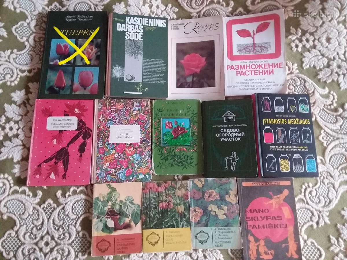 Didžiosios Praeities Paslaptys - nuotraukos Nr. 16