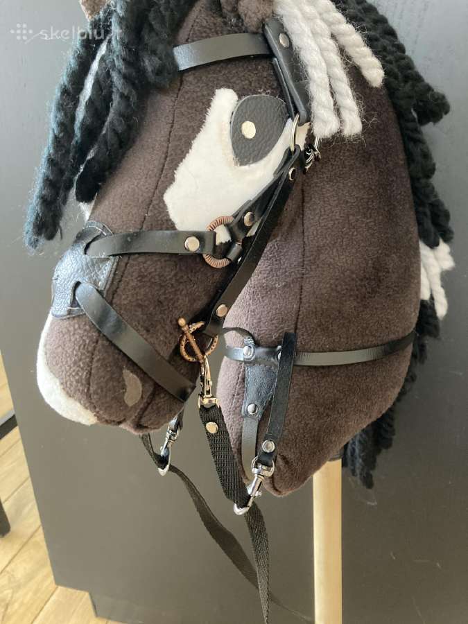 Hobby Horsing Arkliukai - nuotraukos Nr. 27