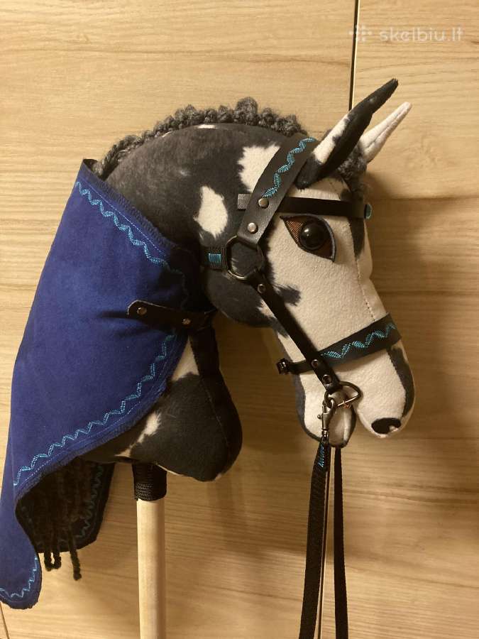 Hobby Horsing Arkliukai - nuotraukos Nr. 23