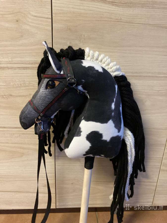 Hobby Horsing Arkliukai - nuotraukos Nr. 25