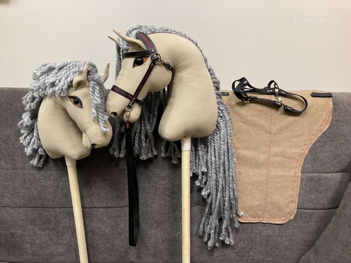 Hobby Horsing Arkliukai - nuotraukos Nr. 18