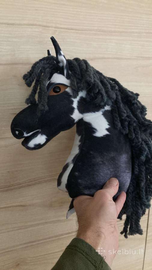 Hobby Horsing Arkliukai - nuotraukos Nr. 19