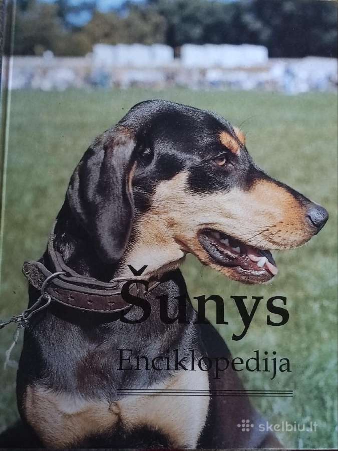 Knyga apie šunis
