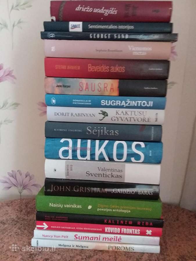 Husaras Ant Stogo Jean Giono - nuotraukos Nr. 33