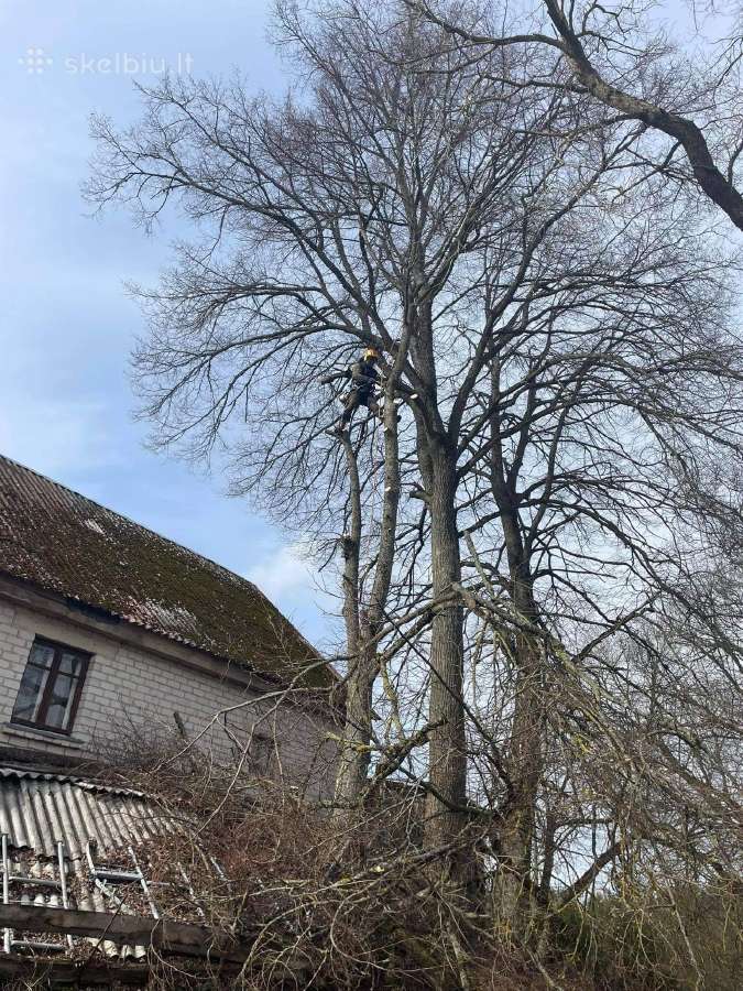 Medžių pjovimas-genėjimas-gyvatvorių karpymas - nuotraukos Nr. 13