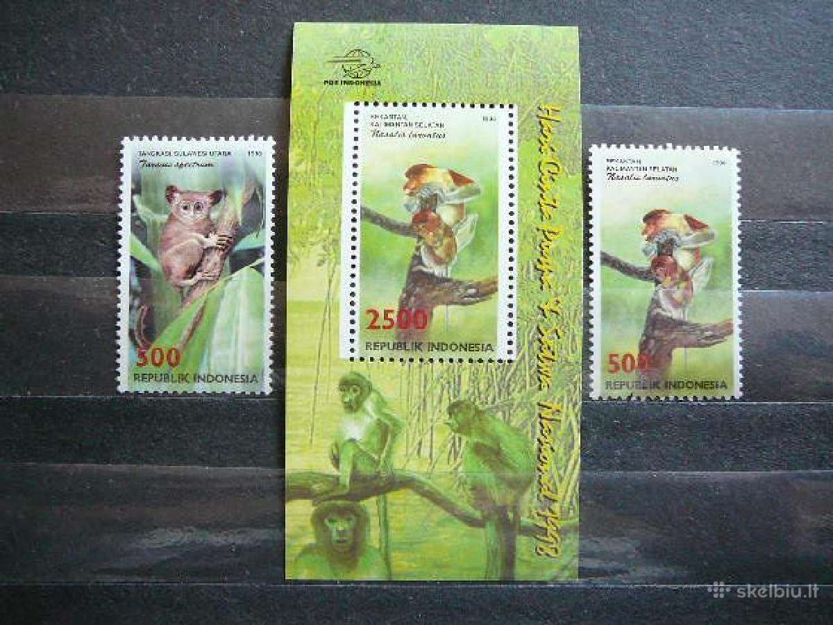 Bezdziones Indonezija 1998 nz1847