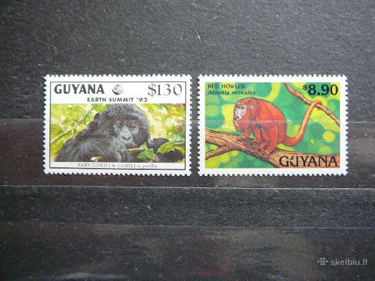 Bezdziones Gajana 1992 gn400