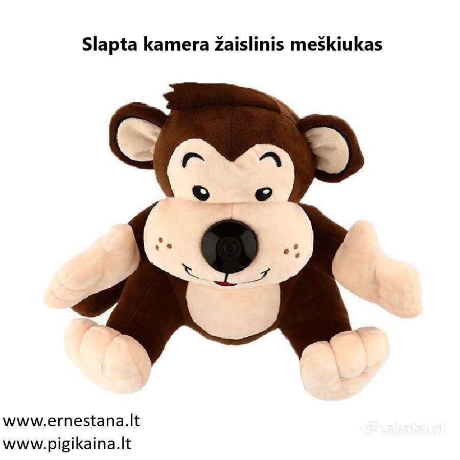 Įvairios! Mini Slaptos Stebėjimo Kameros - nuotraukos Nr. 27