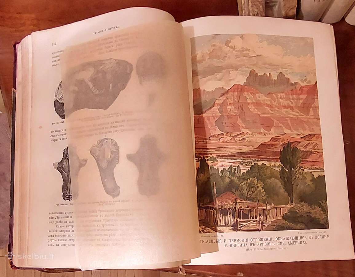 Neimar Žemės istorija 1903 m. 2 tomas - nuotraukos Nr. 4