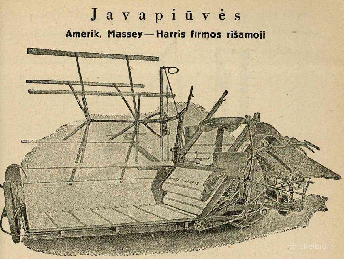 Javapjovė - nuotraukos Nr. 3