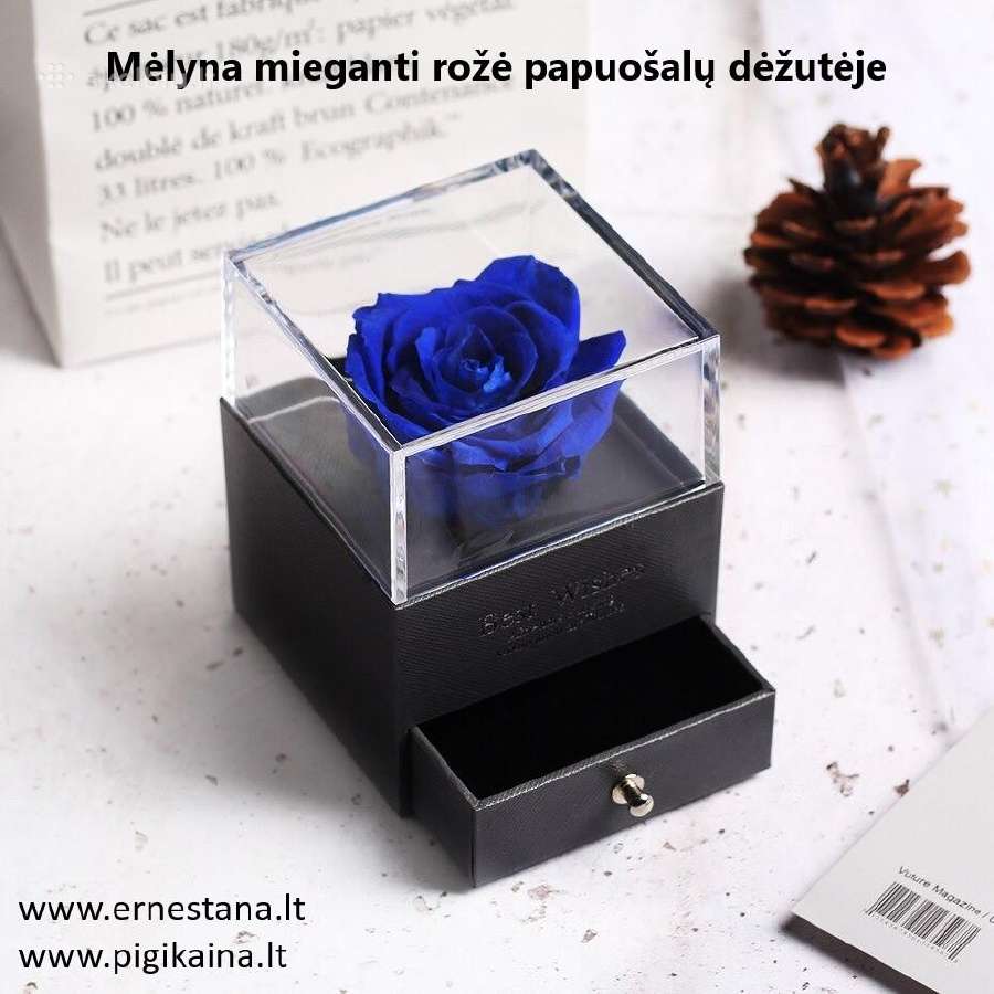 Muilo Rožės / Miegančios Rožės / Rožių meškiukai - nuotraukos Nr. 3