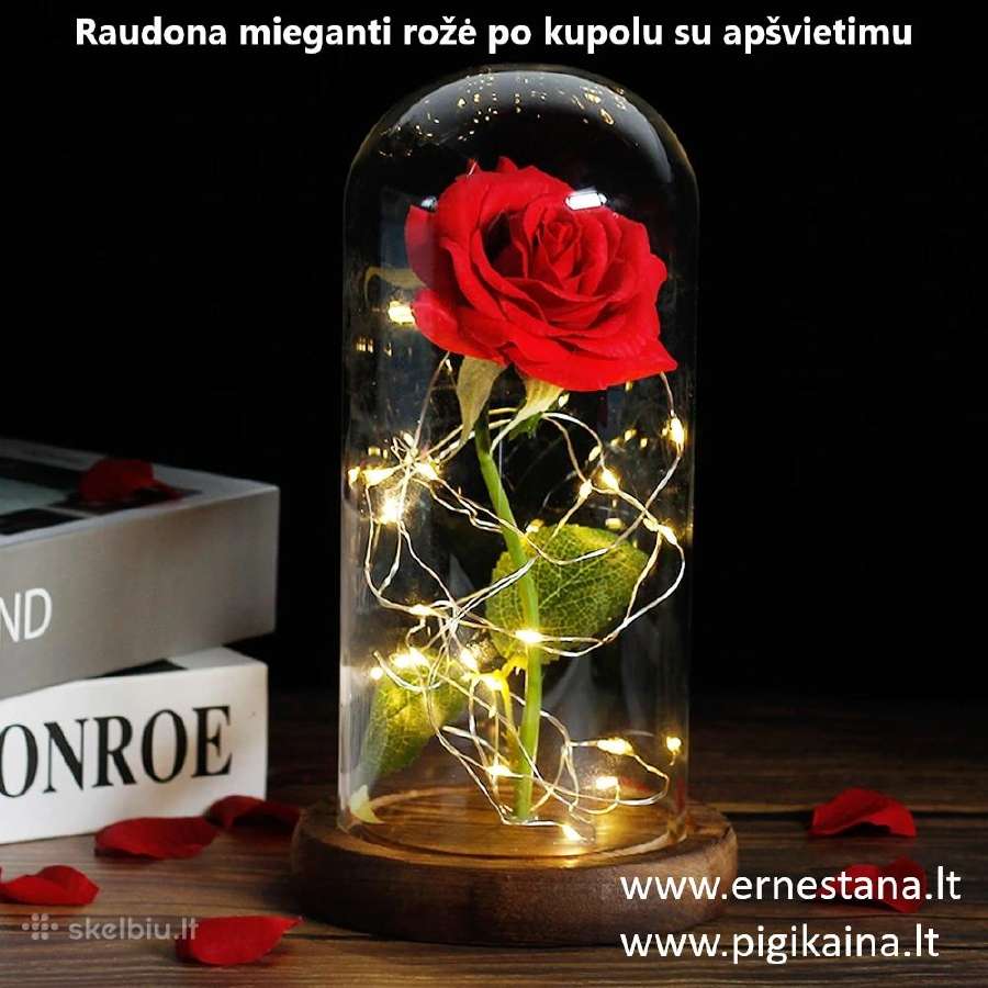 Muilo Rožės / Miegančios Rožės / Rožių meškiukai - nuotraukos Nr. 7
