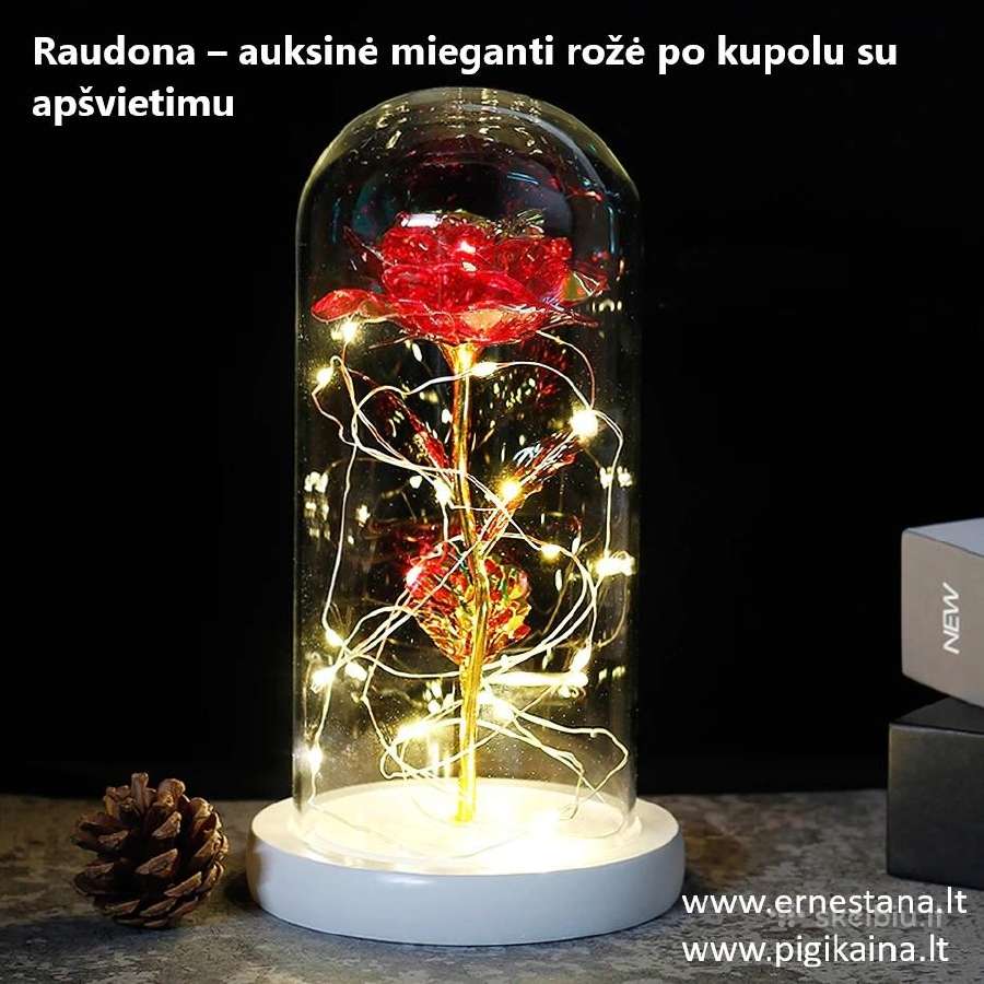 Muilo Rožės / Miegančios Rožės / Rožių meškiukai - nuotraukos Nr. 9