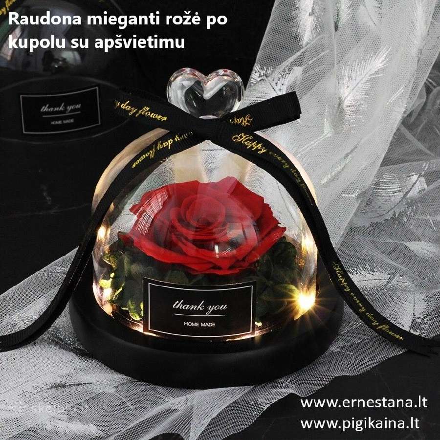 Muilo Rožės / Miegančios Rožės / Rožių meškiukai - nuotraukos Nr. 10