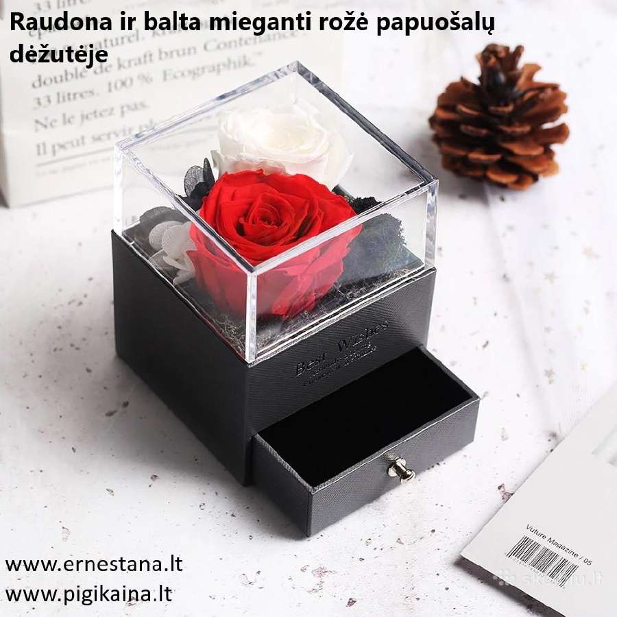 Muilo Rožės / Miegančios Rožės / Rožių meškiukai - nuotraukos Nr. 16