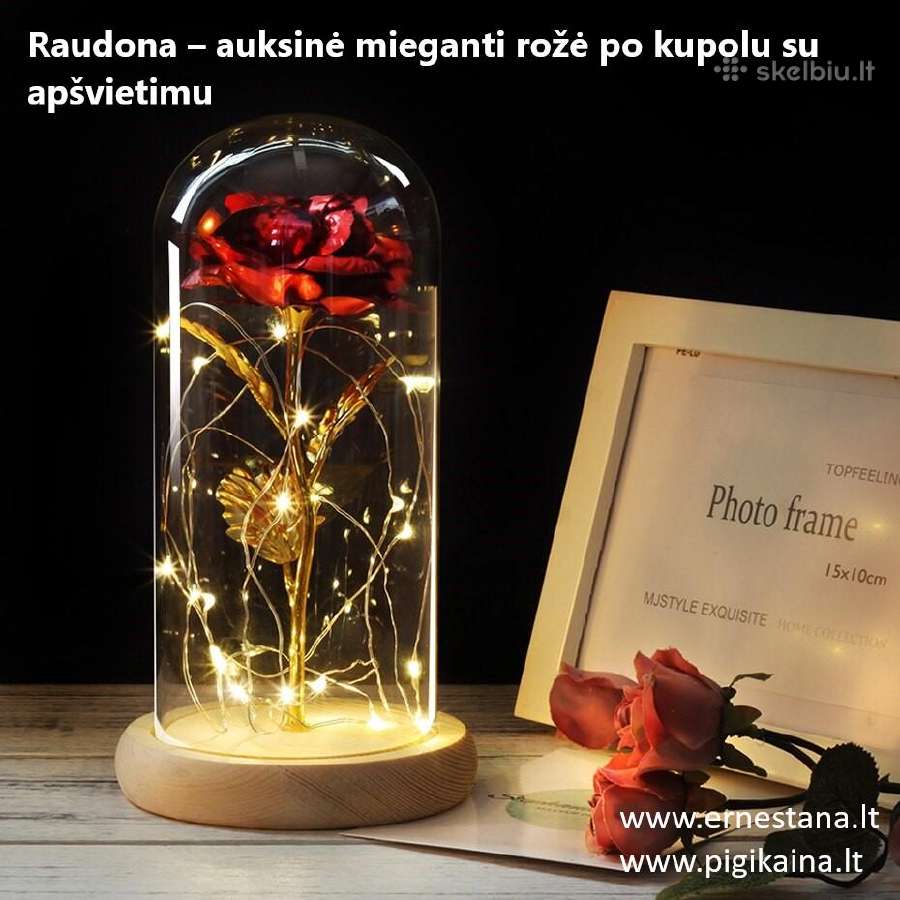 Muilo Rožės / Miegančios Rožės / Rožių meškiukai - nuotraukos Nr. 17