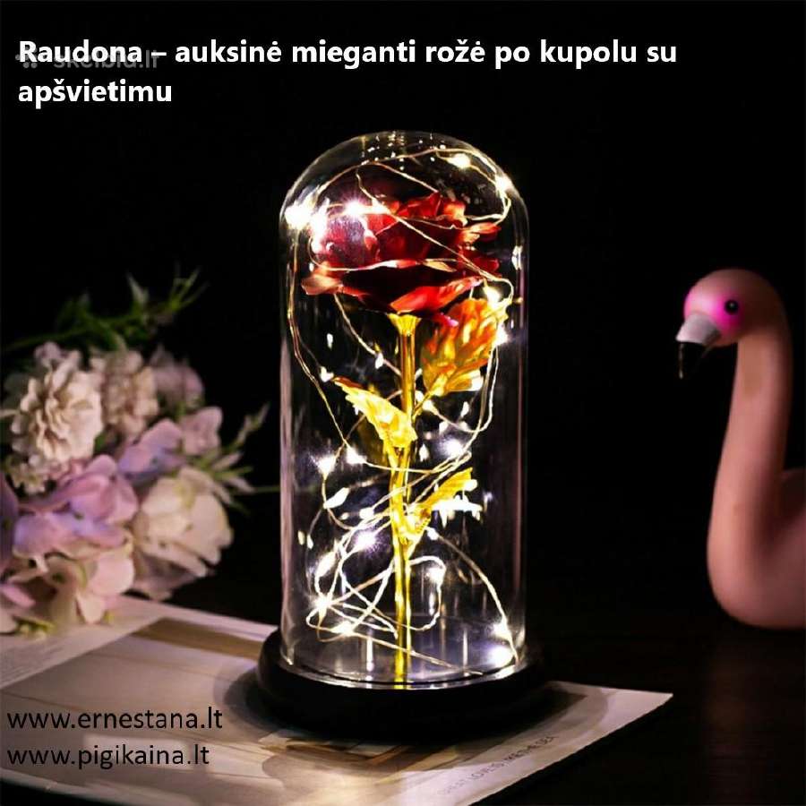 Muilo Rožės / Miegančios Rožės / Rožių meškiukai - nuotraukos Nr. 18