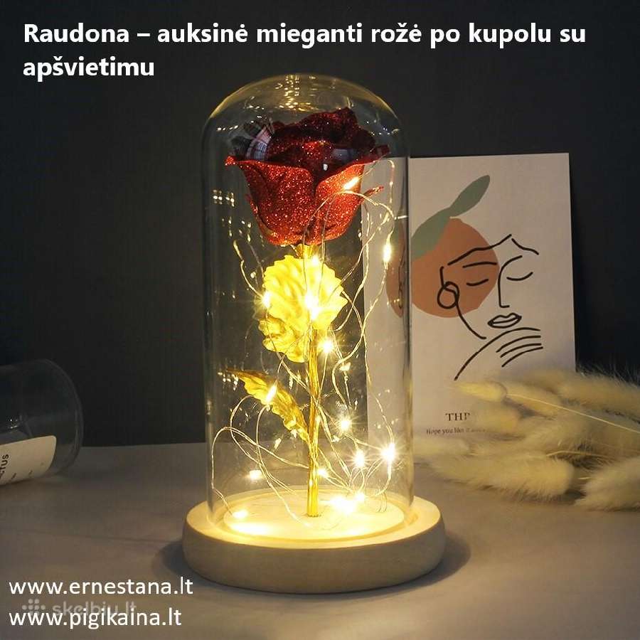 Muilo Rožės / Miegančios Rožės / Rožių meškiukai - nuotraukos Nr. 19