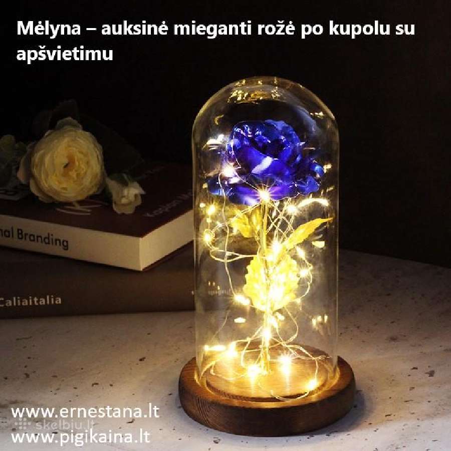 Muilo Rožės / Miegančios Rožės / Rožių meškiukai