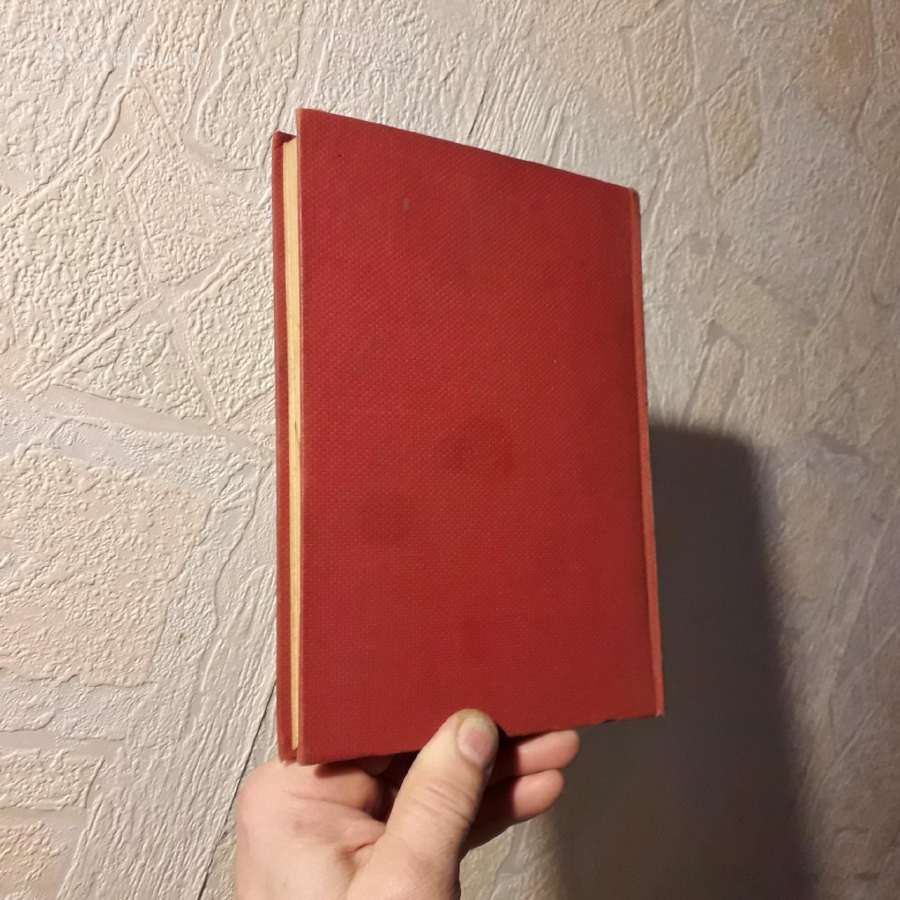 V. Daugirdaitė Sruogienė "Lietuvos istorija" 195? - nuotraukos Nr. 12