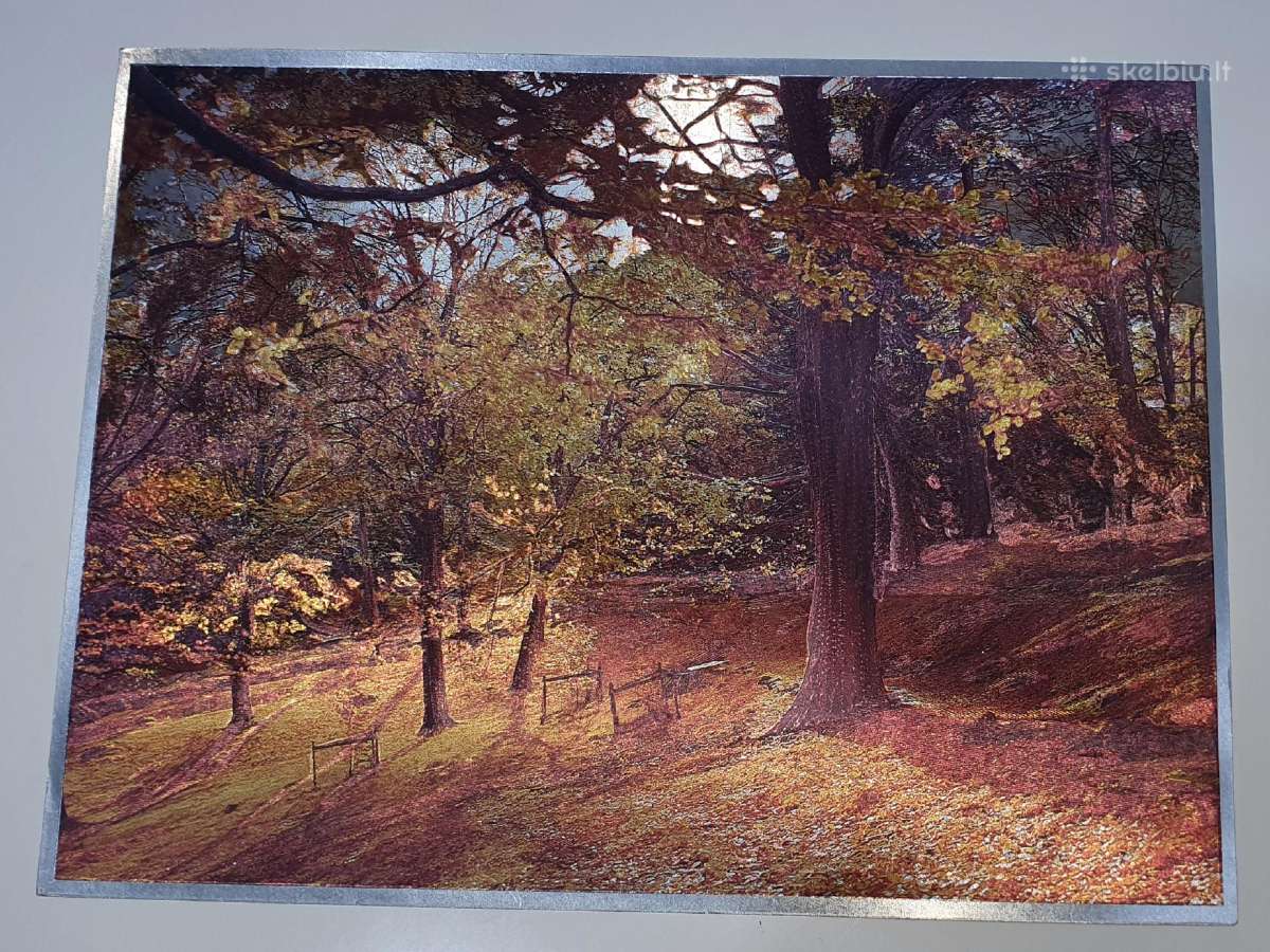 Vintage Dufex 3D Foil Print 1989