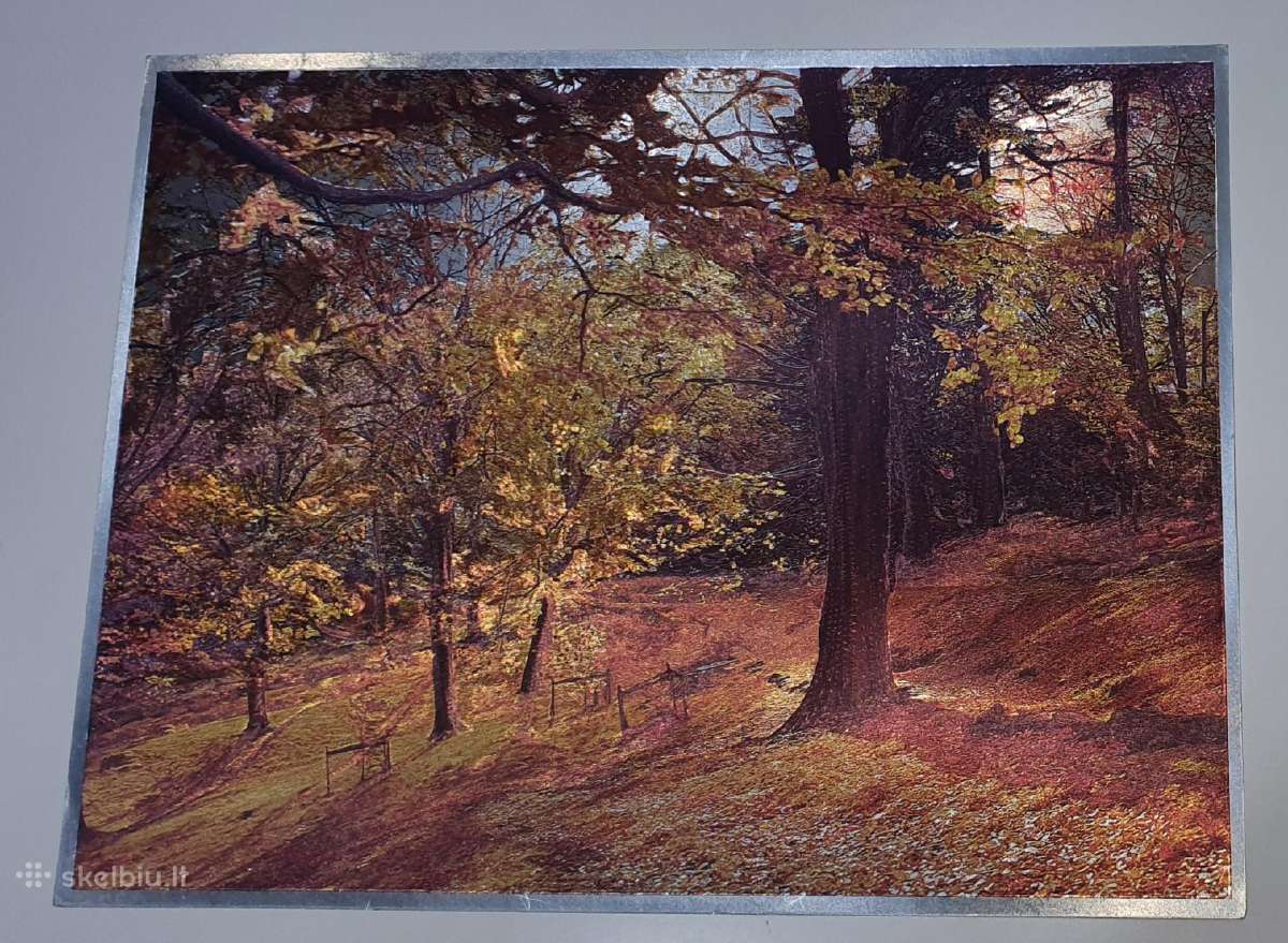 Vintage Dufex 3D Foil Print 1989 - nuotraukos Nr. 2