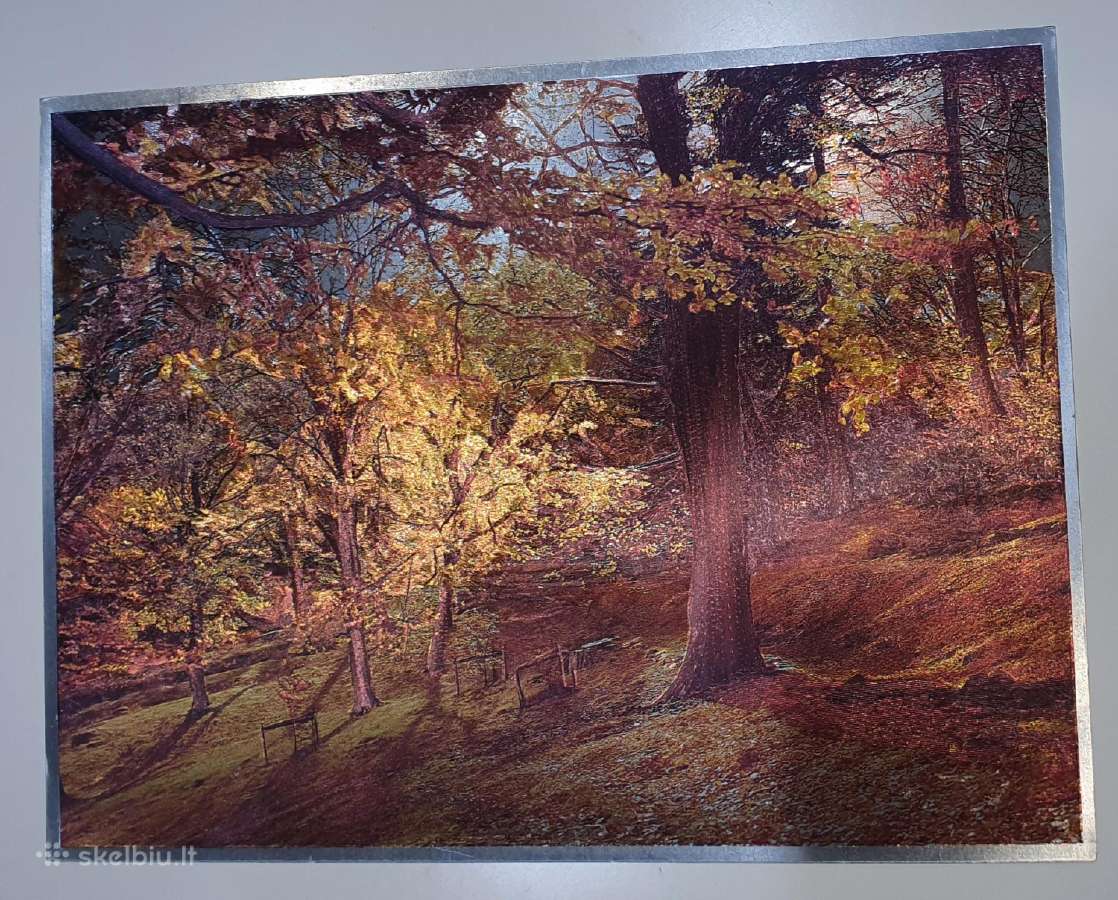 Vintage Dufex 3D Foil Print 1989 - nuotraukos Nr. 3