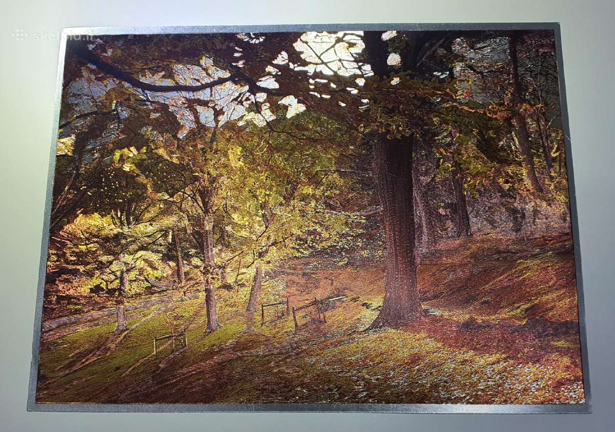 Vintage Dufex 3D Foil Print 1989 - nuotraukos Nr. 4