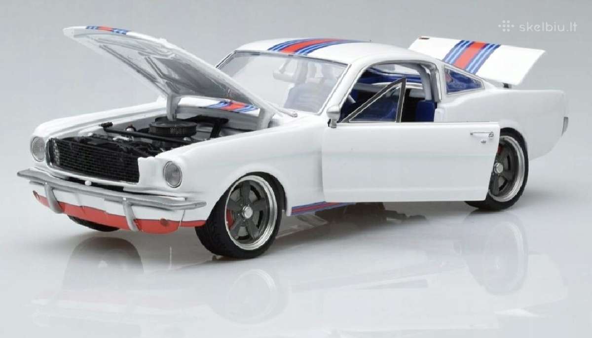 Ford Shelby - nuotraukos Nr. 2