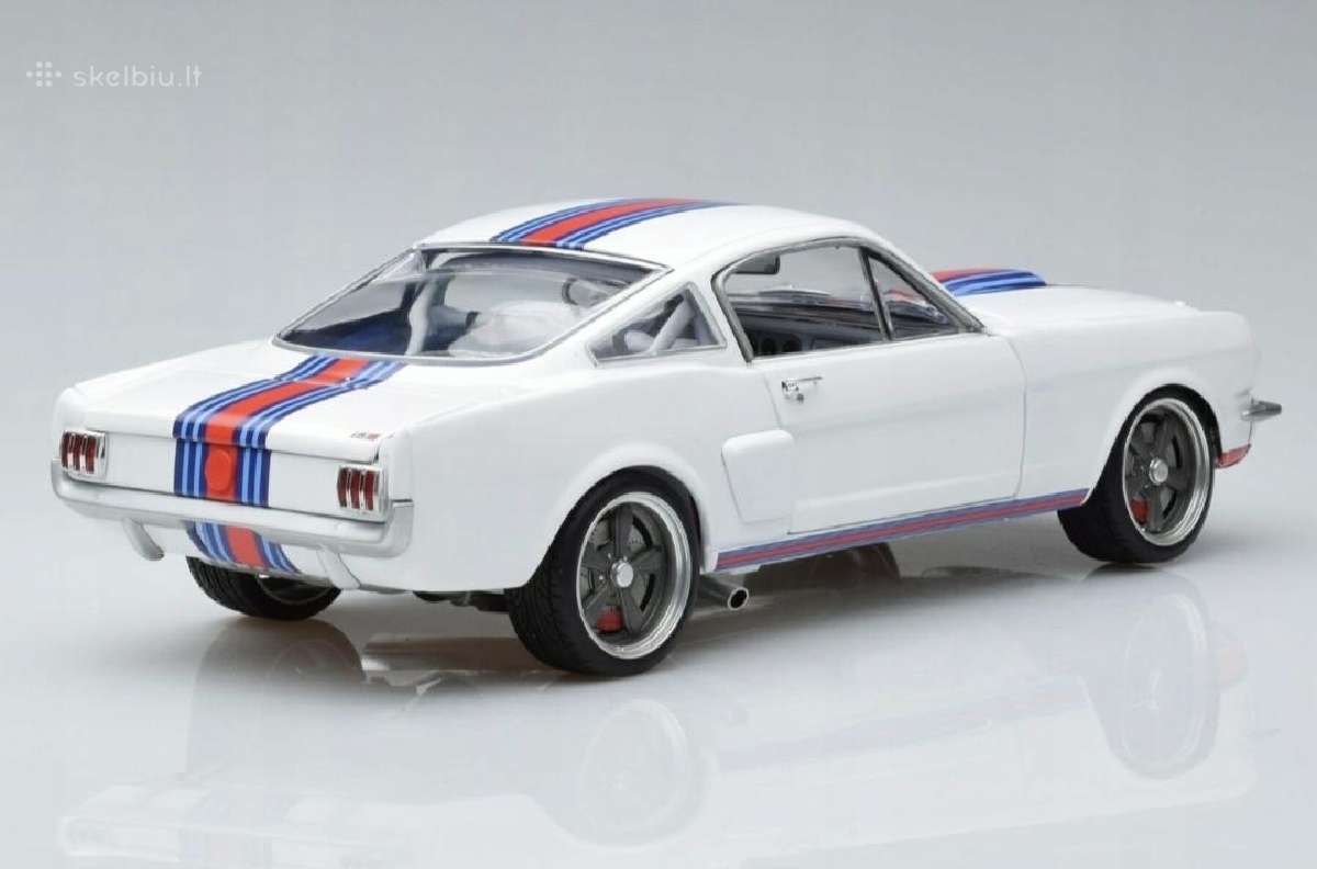 Ford Shelby - nuotraukos Nr. 3
