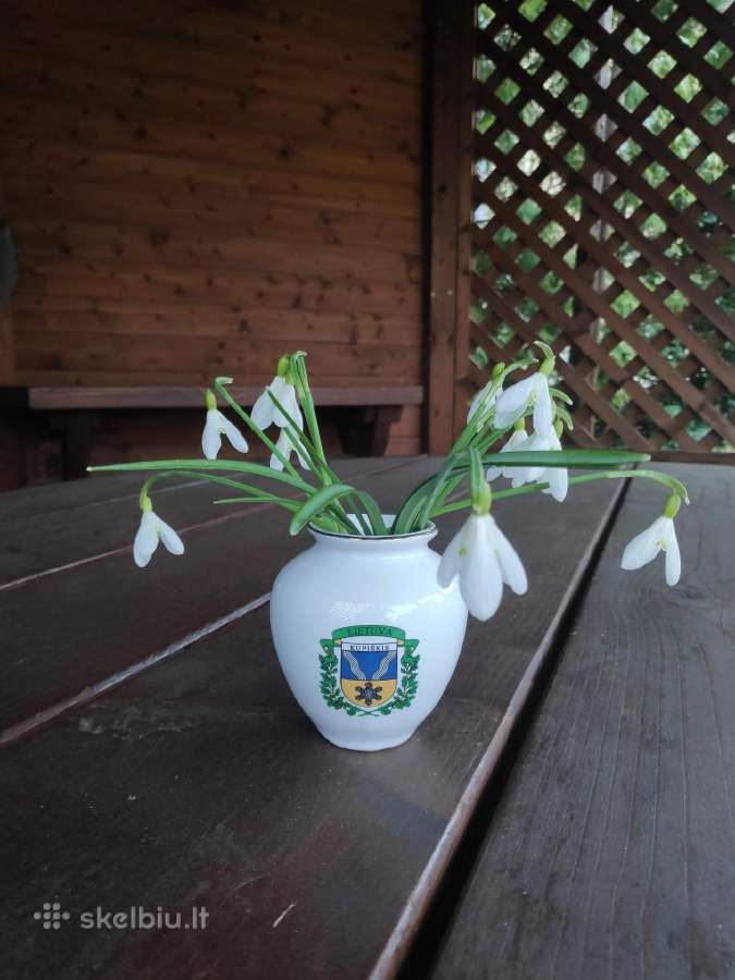 Vazelė su Kupiškio herbu