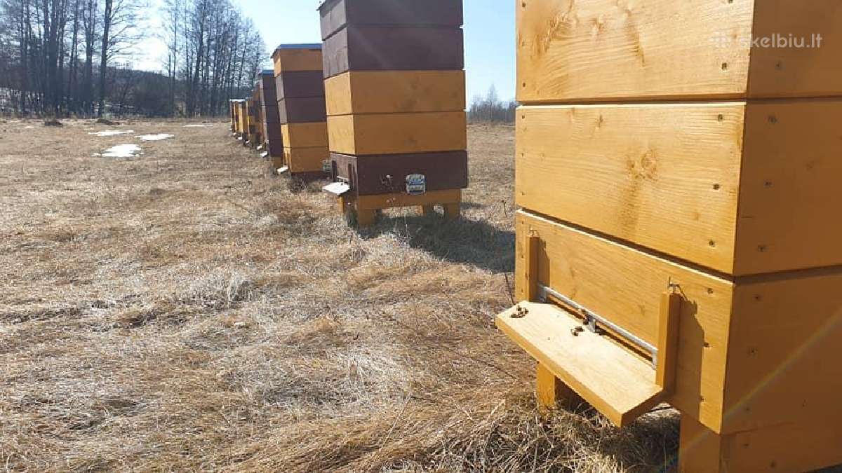 Parduodami Aviliai T 18